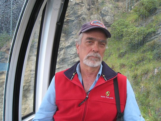 O termo Zelândia foi proposto pela primeira vez em 1995 pelo geofísico norte-americano Bruce Luyendyk.