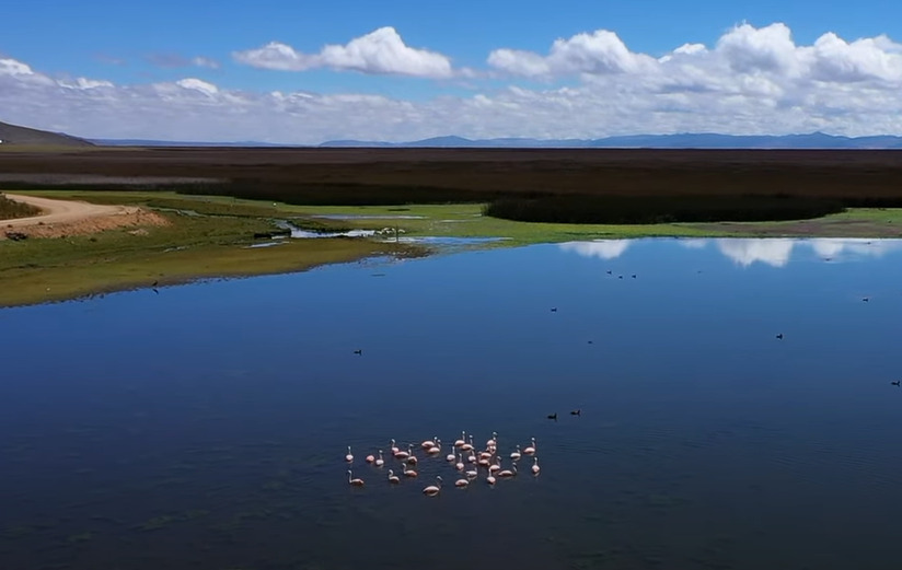Situado na região andina do Peru, o Lago Junín é o segundo maior lago do país, atrás apenas do Titicaca (veja adiante). Com uma vasta área de pântanos, é um importante habitat para aves aquáticas e outras espécies endêmicas.