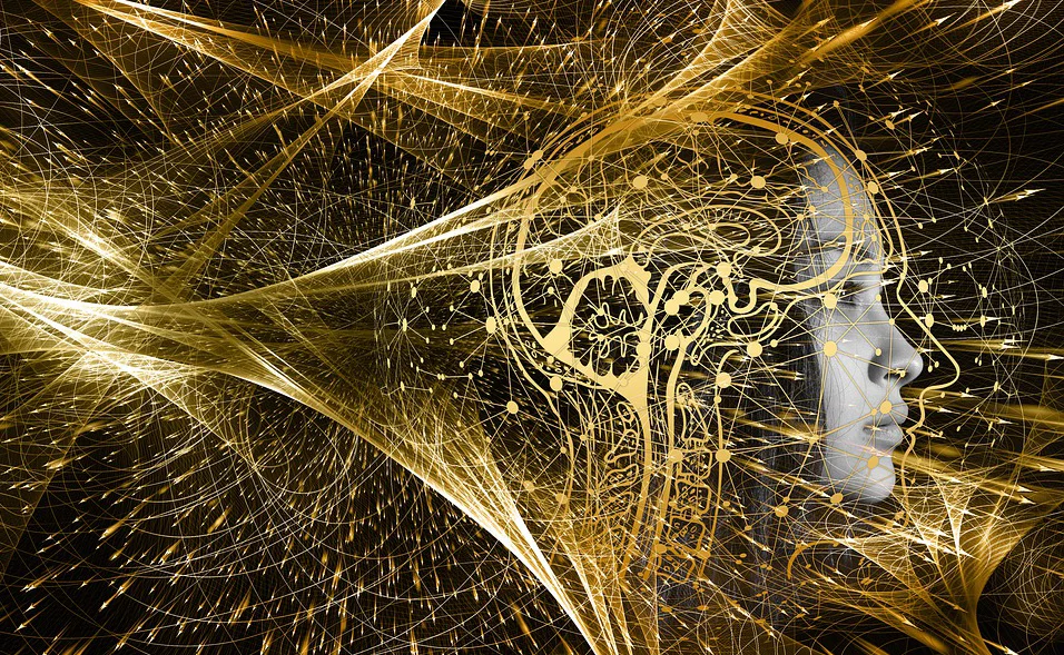 Um estudo envolveu cerca de 1,4 mil participantes, com 36 a 83 anos de idade. Nele, pesquisadores concluíram que indivíduos com maior ingestão de colina apresentaram tendência a demonstrar melhor capacidade de memória.