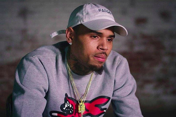 Chris Brown – O rapper foi condenado a cumprir 5 anos em liberdade condicional e serviços comunitários por ter agredido fisicamente a ex-namorada e também cantora, Rihanna.