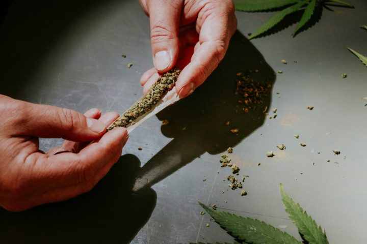 Esse número aumentou em relação à pesquisa anterior, feita em setembro de 2023, quando 61% se opuseram à legalização. A pesquisa revelou que 31% dos brasileiros são a favor da descriminalização da maconha, uma queda em comparação aos 36% da pesquisa anterior.