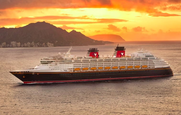 O primeiro navio da frota foi o Disney Magic, seguido pelo Disney Wonder em 1999.