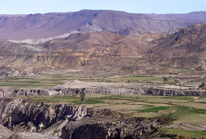 A respeito dos atrativos naturais, a área oferece aos turistas o Vale do Azapa. Um oásis famoso pela produção de frutos como a goiaba, manga, banana e papaia. As azeitonas de Azapa, características pela cor violeta e pelo sabor amargo, são conhecidas internacionalmente. 