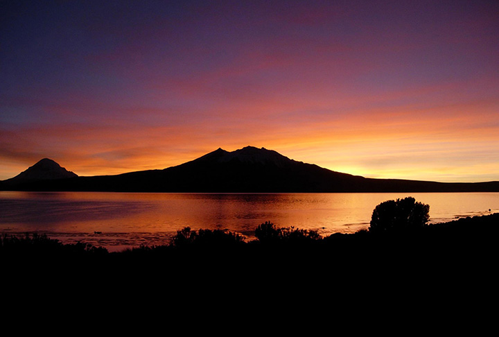 O Parque Nacional Lauca é rico em fauna e flora. Várias das espécies que estão ali são endêmicas, ou seja, não existem em nenhum outro lugar do planeta. 