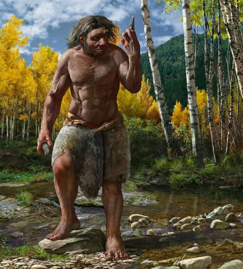 Em 2021, o fóssil foi datado em pelo menos 146 mil anos e classificado como uma nova espécie, Homo longi, embora alguns especialistas já suspeitassem da ligação com os Denisovanos.