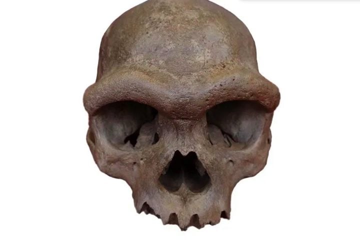 Em 2018, um crânio descoberto na China, apelidado de 