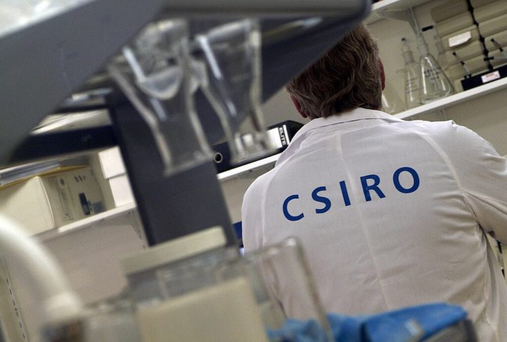 Essa descoberta foi feita em 2024 por cientistas da Commonwealth Scientific and Industrial Research Organisation (CSIRO).