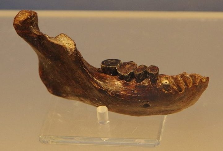 Apesar dos avanços, ainda há muitas perguntas sobre a aparência, cultura e extinção dos denisovanos.