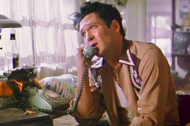 Depois de papéis em várias séries de TV e filmes pequenos, estrelou o clássico Thelma e Louise, em 1991, dirigido por Ridley Scott.