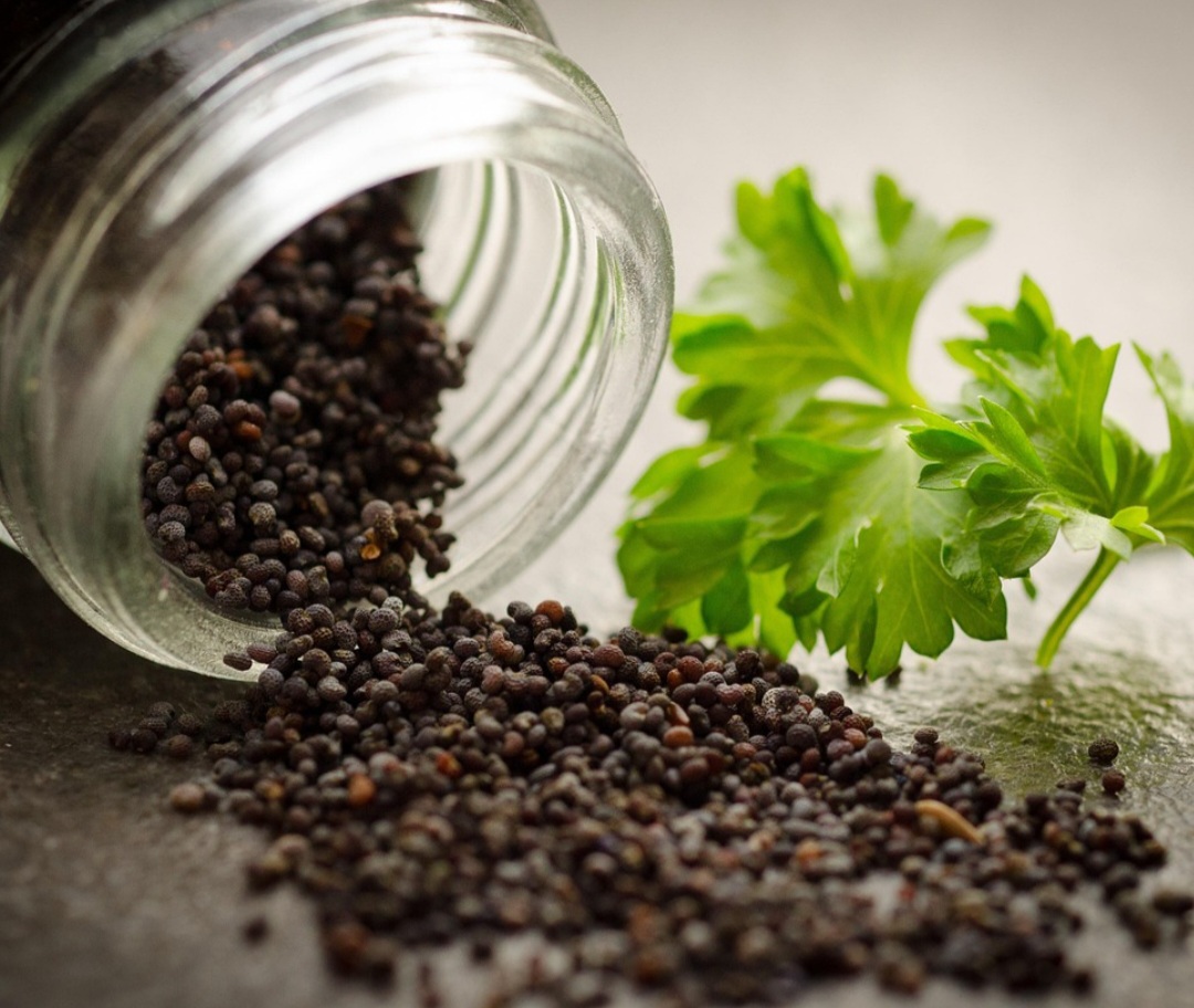 O gergelim preto tem a casca, um sabor mais forte e amargo e apresenta maior teor de antioxidantes, cálcio e fibras insolúveis; O branco, por sua vez, é sem casca, com sabor mais suave e com mais lipídios, carboidratos e fibras solúveis. 