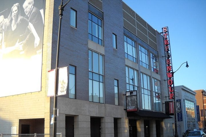 Madsen começou sua carreira artística no teatro, participando do renomado Steppenwolf Theatre Company, de Chicago, onde teve contato com nomes importantes da dramaturgia.