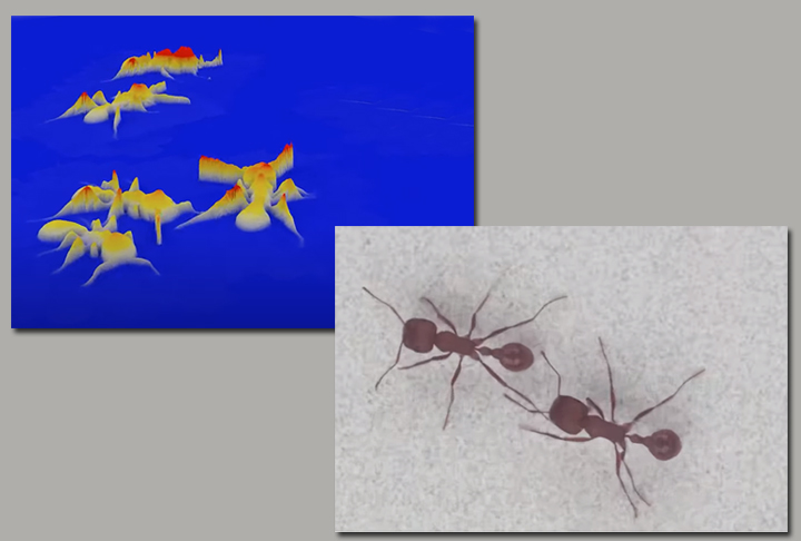 Eles observaram que o sistema era capaz de produzir,  inclusive, imagens em 3D com excelente resolução.