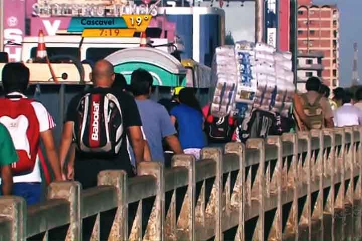 O fenômeno causou a morte de vários animais marinhos, como cavalos-marinhos, peixes e polvos, que foram encontrados na areia.