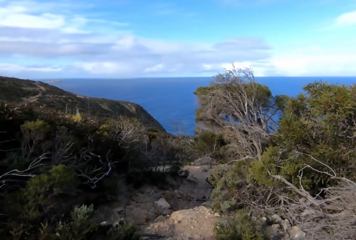 Por lá, trilhas como a Waitpinga Cliffs Hike oferecem vistas incríveis da costa e são ideais para quem gosta de explorar a natureza.
