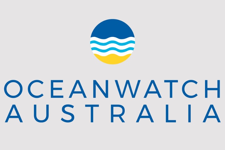 Já a organização Ocean Watch Australia explicou que, em geral, a espuma do mar não faz mal e pode ser um sinal de que o oceano está saudável e cheio de vida.