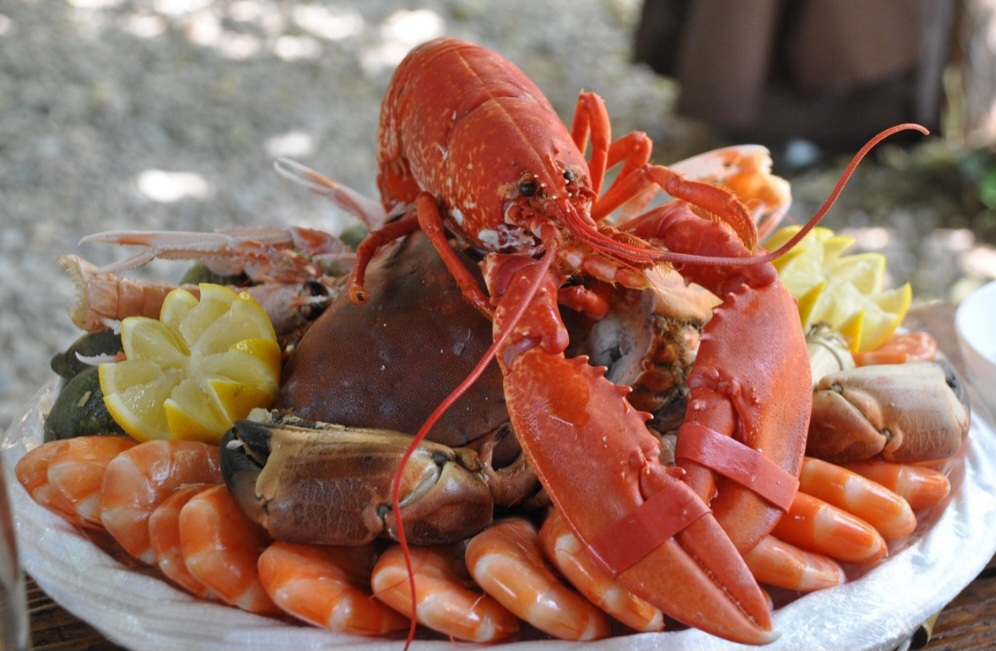 A pesca de lagostas é uma atividade económica importante em muitas regiões costeiras, gerando empregos e renda para pescadores e comunidades locais. 
