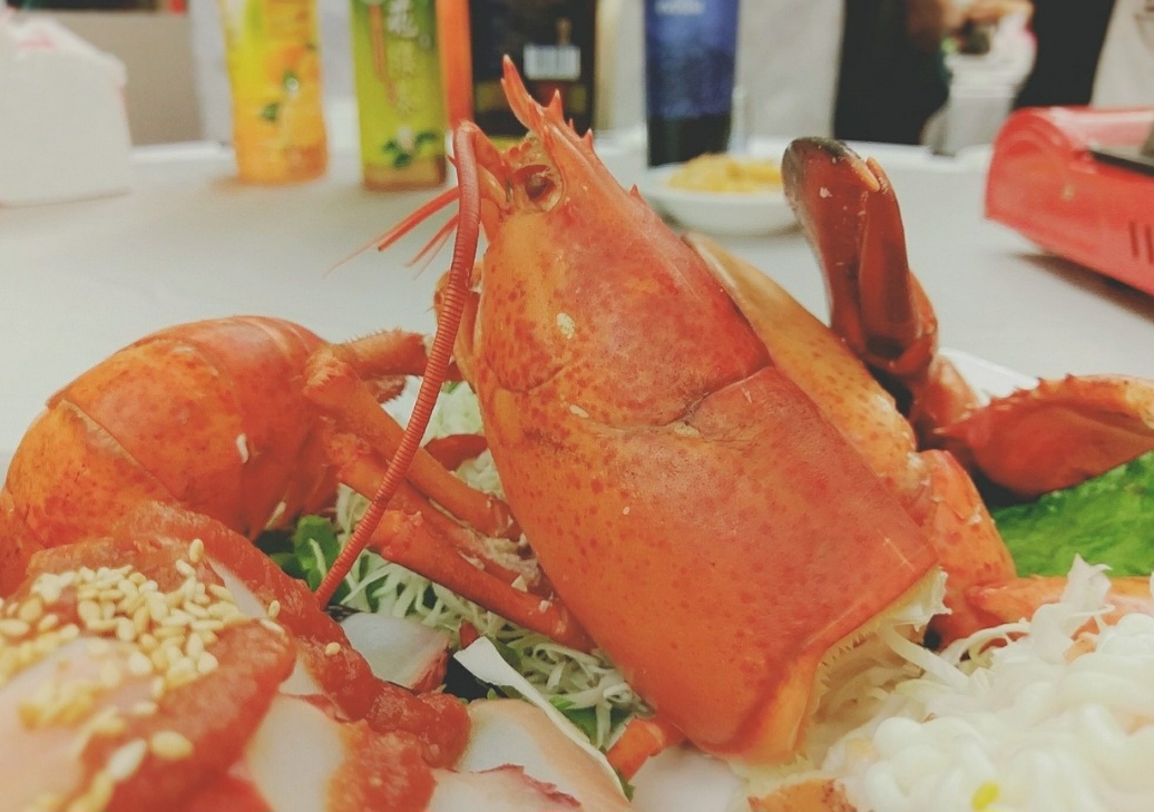 É fundamental que a pesca de lagostas seja feita de forma sustentável, evitando a sobrepesca e o desequilíbrio do ecossistema. Assim, em algumas regiões, são implementadas medidas de proteção, como a definição de áreas de defesa e a regulamentação da pesca.
