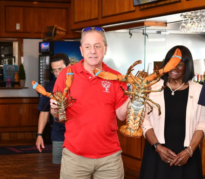 Lorenzo tem sorte. Enquanto outras lagostas eram capturadas para as refeições, ele foi ficando no tanque, até que o proprietário decidiu que era logo de soltá-lo, não de colocá-lo na panela.