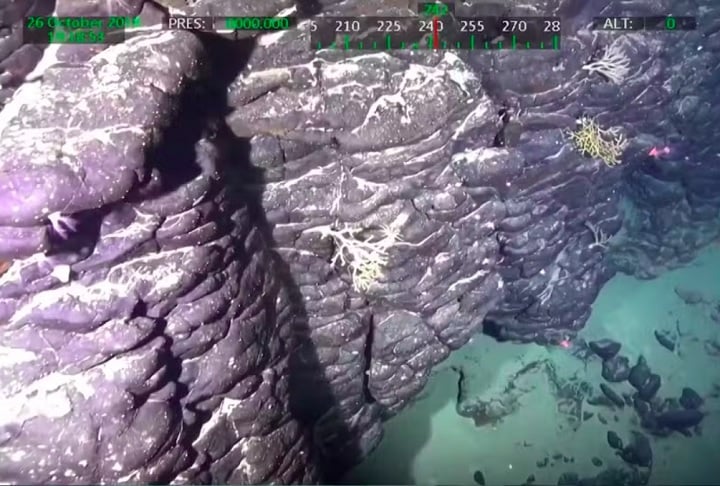 Estudos da USP apontam que o solo da elevação é idêntico ao do interior de São Paulo, com evidências de que a área já foi uma ilha vulcânica tropical, coberta por vegetação e cercada por recifes.