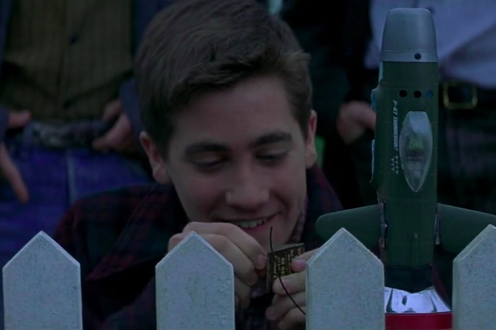 Sua carreira ganhou destaque no fim dos anos 1990 e início dos anos 2000, com papéis em filmes como O Céu de Outubro (1999 - foto) e Donnie Darko (2001).