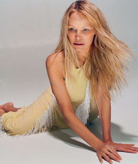 Pamela Anderson também ficou famosa por seus trabalhos como modelo, além de ter posado para revistas masculinas 14 vezes. 
