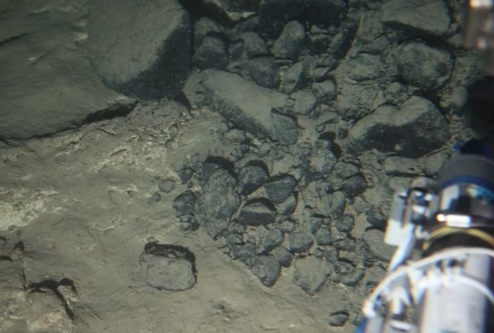 Nosso trabalho não é advogar a favor da mineração submarina, mas estudar a região e entender o que temos lá embaixo do ponto de vista mineral, animal e vegetal, acrescentou.