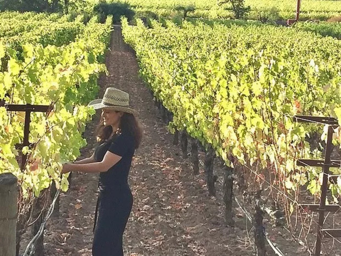 Salma Hayek - A atriz mexicana e seu marido François-Henri Pinault são donos da Eisele Vineyard, em Napa Valley, na Califórnia. Em 2020, o vinhedo sofreu um incêndio e a atriz fez um agradecimento público aos bombeiros que salvaram a propriedade. 