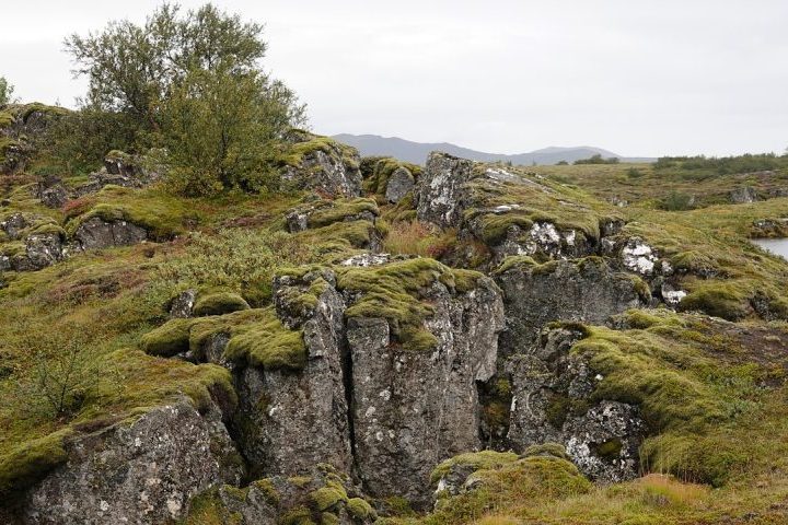 A submersão da Zelândia está ligada à dinâmica das placas tectônicas, especialmente ao processo chamado subducção. 