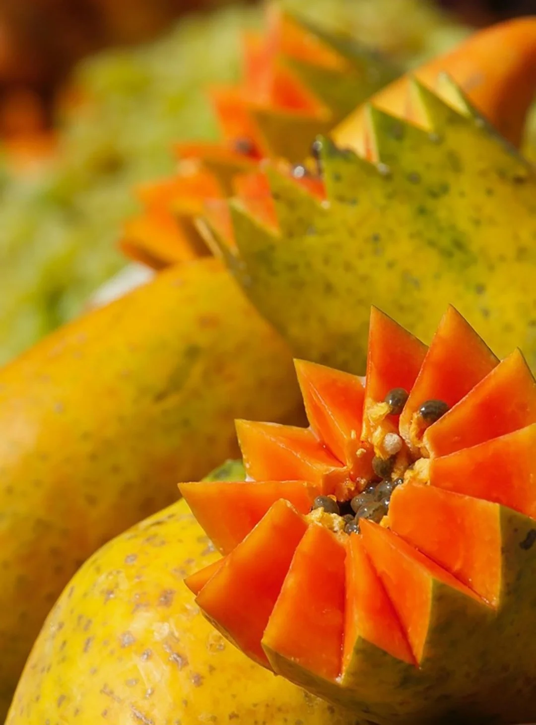 Um dos benefícios mais conhecidos é a sua ação no sistema digestivo. Por conter enzimas como a papaína, o mamão auxilia na digestão de proteínas, agindo de forma semelhante ao suco gástrico. Essa enzima é encontrada em maior quantidade no mamão verde.