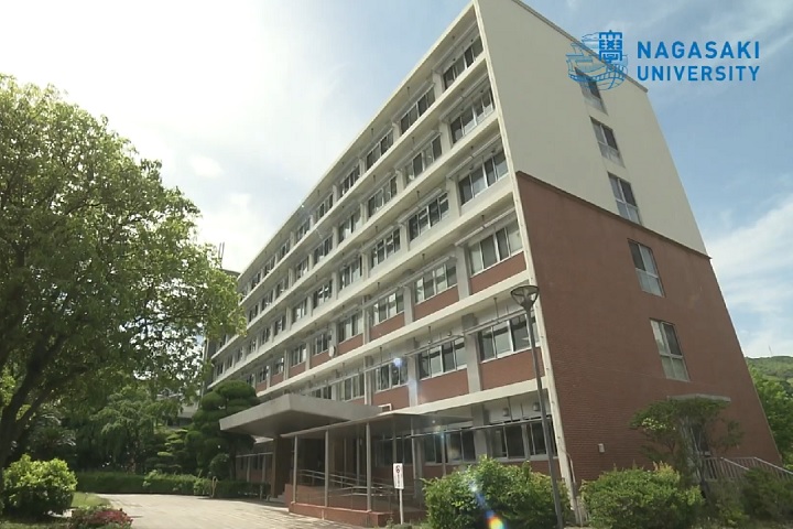 O estudo foi feito por pesquisadores da Universidade de Nagasaki, que juntaram informações coletadas ao longo de muitos anos.