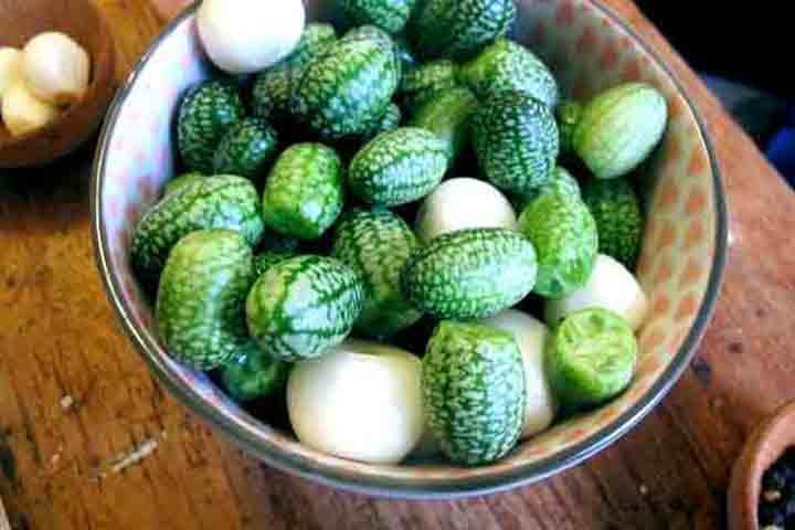 O maxixe é rico em minerais como cálcio e magnésio, que são fundamentais para a saúde óssea e ajudam a prevenir a osteoporose. 