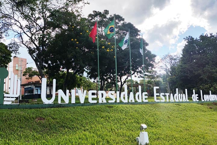 No campo da saúde, Londrina também apresenta bons indicadores. A rede pública dispõe de unidades bem distribuídas e hospitais de referência, como o Hospital Universitário, vinculado à Universidade Estadual de Londrina (UEL).