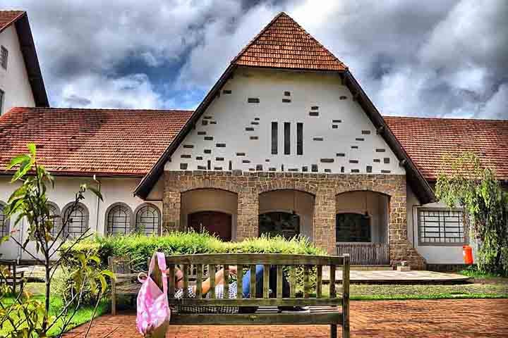A cultura em Londrina pulsa de forma constante. A cidade sedia festivais de música, teatro, literatura e gastronomia, além de feiras e mostras acadêmicas. O Museu Histórico, instalado em uma antiga estação ferroviária, preserva as memórias da formação urbana e do ciclo do café.