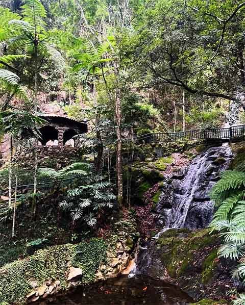 Cercada por mata nativa e tranquilidade, a Fonte dos Amores é um recanto romântico em Poços de Caldas. Sua principal atração é a escultura de um casal abraçado, obra do artista Giulio Starace, símbolo do amor eterno.