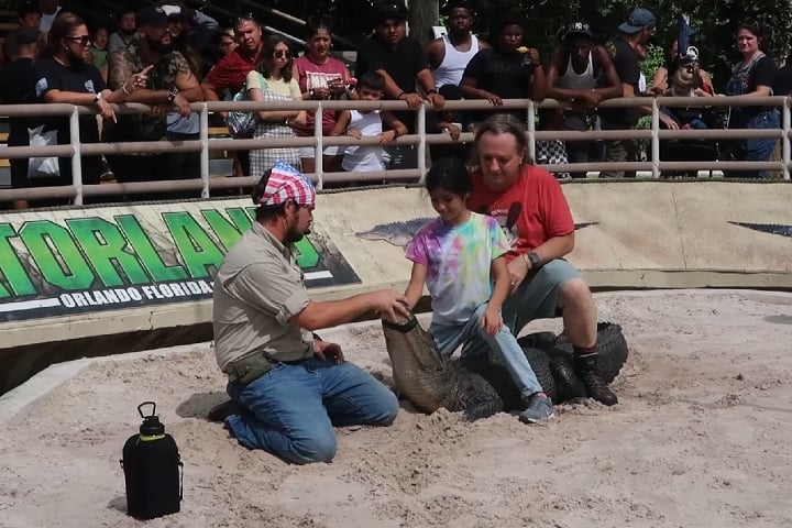 No Gator Wrestlin’, um tratador profissional mostra técnicas de segurança e curiosidades sobre esses animais.