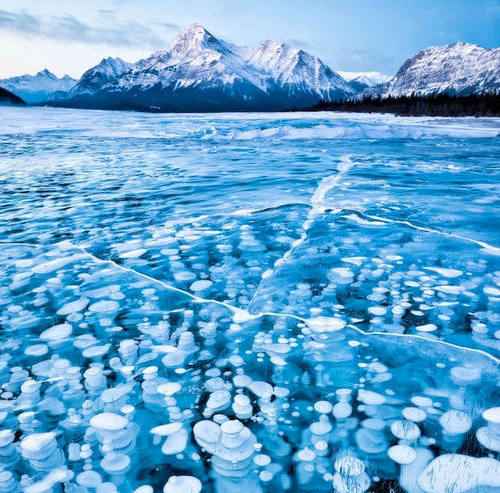 Ice Bubbles - Bolhas de gelo em português. São círculos feitos de gás metano vindo da profundidade,  sob a ação de bactérias que decompõem material  orgânico.  O lago Alberta, no Canadá, fica parecendo uma piscina de gelatinas. 