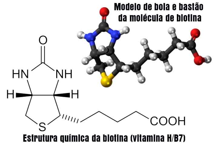 A queratina é uma proteína estrutural porque a sua estrutura tridimensional lhe confere características especiais: microfilamentos com resistência, elasticidade e impermeabilidade à água.