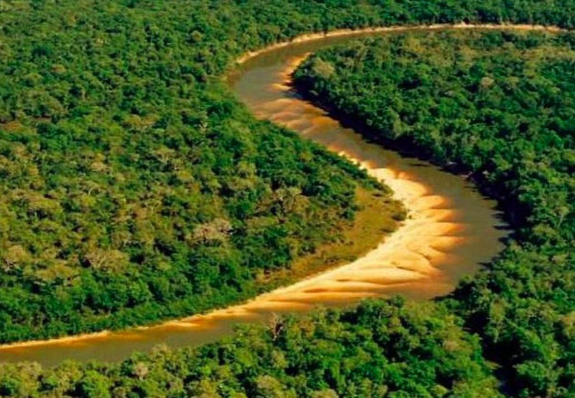 Além de ser a maior ilha genuinamente fluvial do mundo, a Ilha do Bananal também é considerada Reserva da Biosfera pela UNESCO desde 1993, e reserva ambiental brasileira desde 1959.