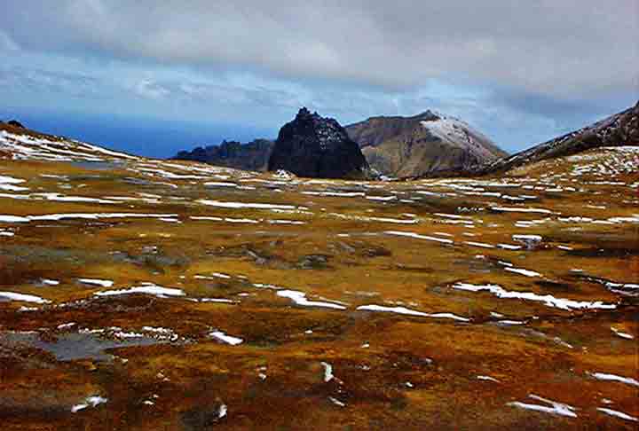 A comunidade do local é autossuficiente, com os moradores cultivando seus próprios alimentos e criando animais, enquanto a lagosta é o principal produto de exportação e sustenta a economia local.