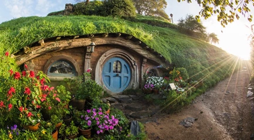 O passeio custa $120 NZ (R$ 368) para maiores de idade e $60 NZ (R$ 184) para menores.  