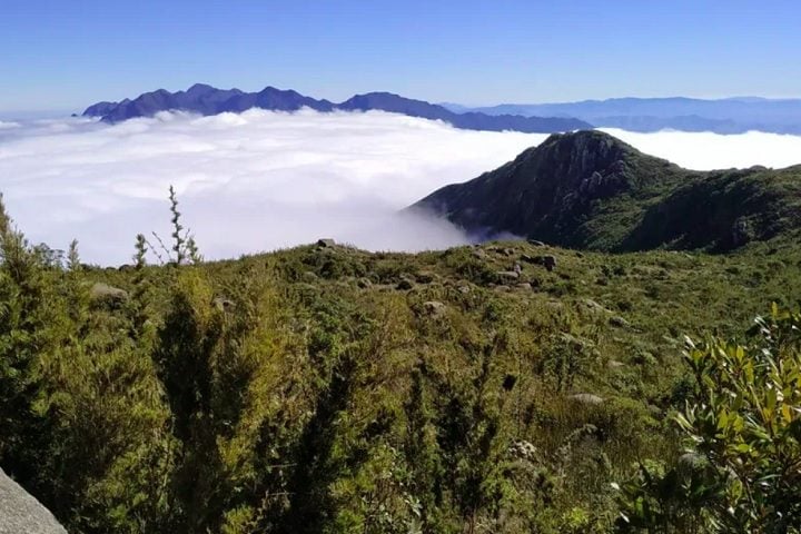 Eles ficaram 24 horas na floresta até serem encontrados pelo Corpo de Bombeiros.