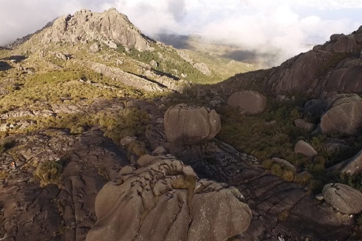 As vítimas receberam atendimento médico e foram liberadas. Em nota, o parque reiterou a importância de seguir as normas de segurança.