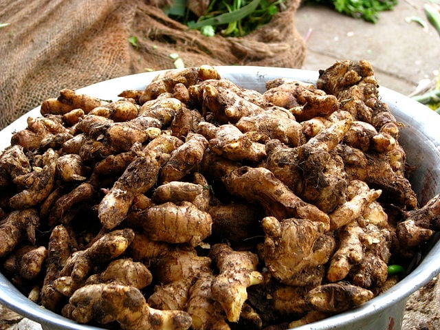 A relação entre o gengibre e o câncer tem sido alvo de pesquisas. Alguns estudos indicam que os compostos bioativos dessa raiz podem ajudar a combater o estresse oxidativo e a inflamação, dois fatores que contribuem para o desenvolvimento de tumores.