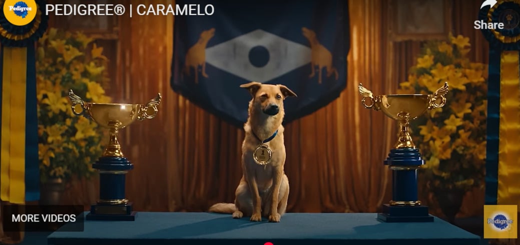 Uma campanha publicitária que estimula a adoção responsável de cães sem raça definida - o popular vira-lata - recebeu um prêmio no festival Cannes Lions, na França. 
