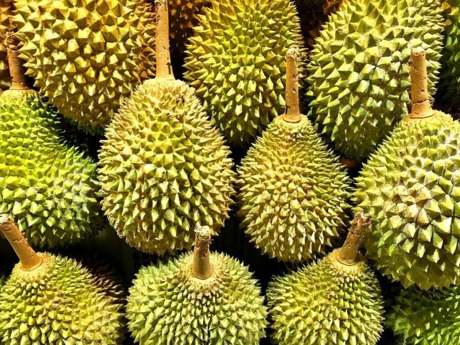 Fruta – Durian: Nativo do Sudeste Asiático, o durian é uma fruta conhecida por sua casca cheia de espinhos. No entanto, o que mais afasta possíveis consumidores é o seu cheiro intenso e desagradável.