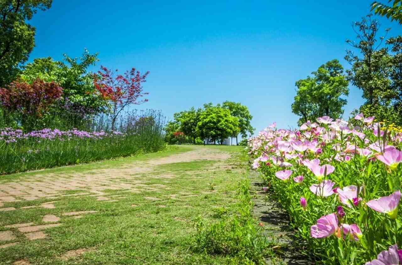 Isso faz com que desempenhem um papel importante no controle biológico, limitando a quantidade de pestes em várias culturas e jardins.