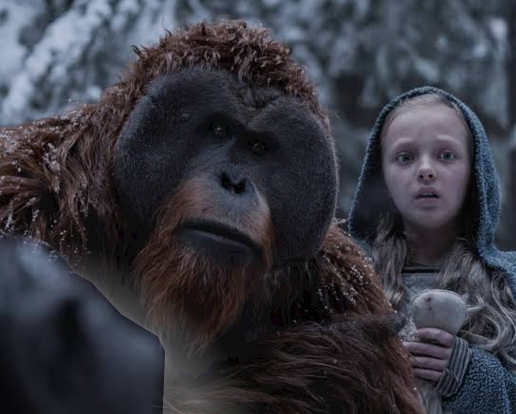 O macaco Maurice, querido do público na franquia O Planeta dos Macacos - uma espécie de conselheiro do líder Cesar - é um orangotango. E no filme sobre a guerra protege a menina encontrada na selva. 