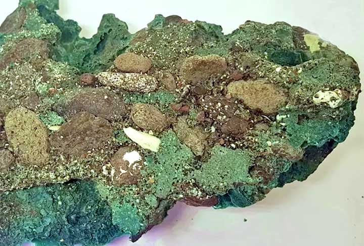 E foi curioso, porque eu não fazia ideia do que se tratava. Após fazer as coletas dos detritos plásticos na ilha, trouxe para o Laboratório de Estudos Costeiros da UFPR, acrescentou a geóloga, que teve apoio de uma equipe multidisciplinar da USP e da UFRGS.