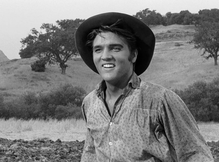 Além de sua carreira musical, Elvis também foi um ator de sucesso, estrelando 31 filmes ao longo de sua carreira, começando com Love Me Tender em 1956.