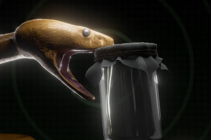 Durante a experiência, o influenciador destacou que o veneno extraído das serpentes pode ser usado na produção de antídotos que tratam 90% das picadas no Brasil.